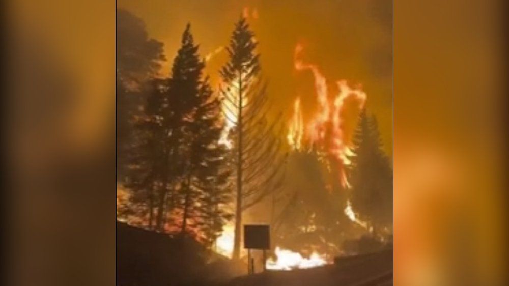 Video: Flammenhölle: Heftige Waldbrände verwüsten Argentinien