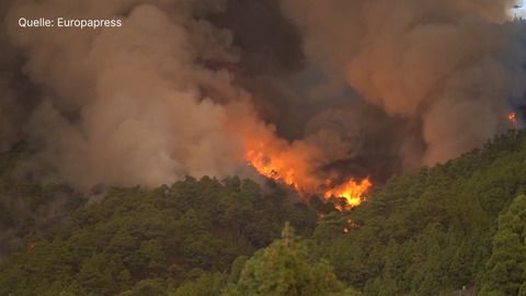 Wie sich Südeuropa gegen Waldbrände wappnet