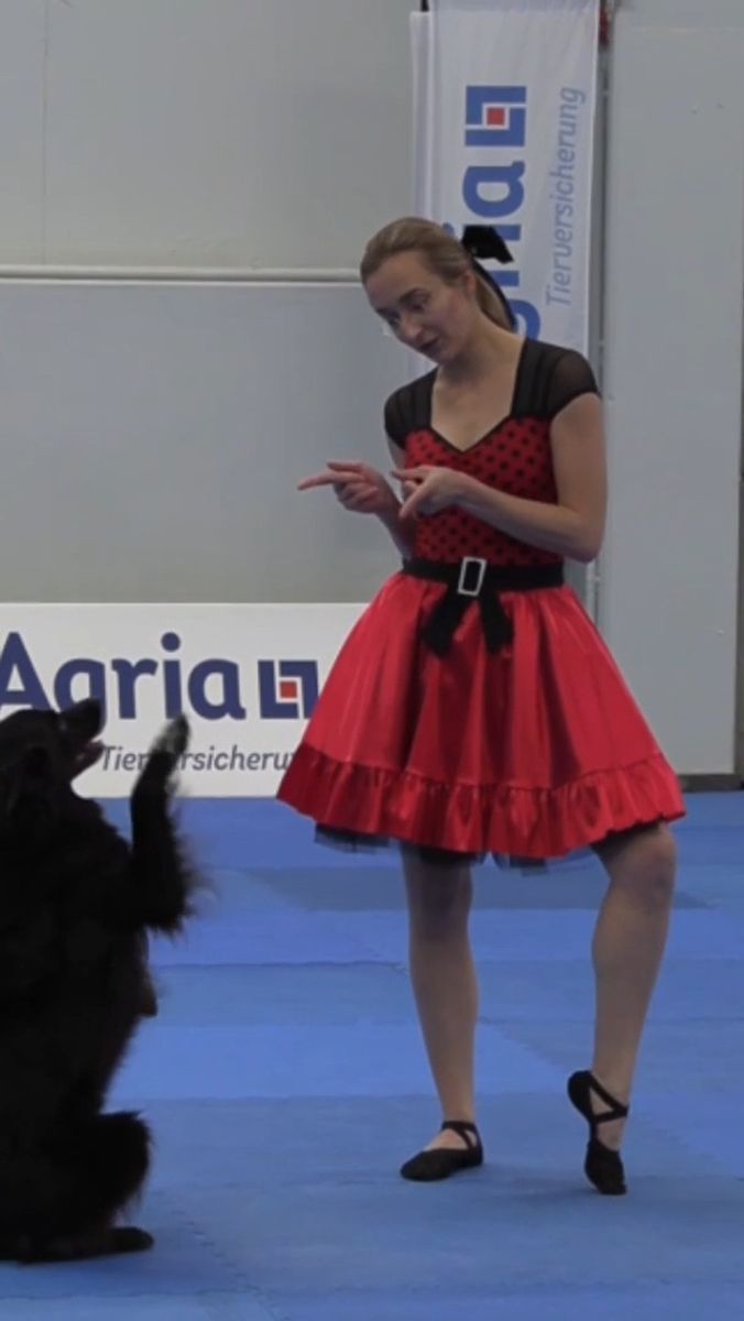 Championnat de danse avec chien : Quand chien et humain font valser la jambe