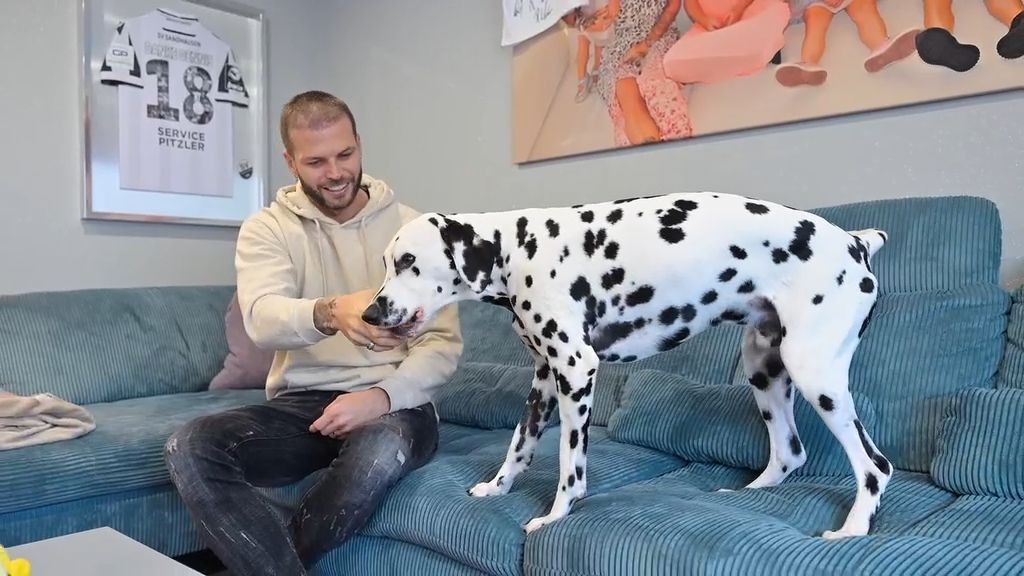 Tochter-k-mpft-gegen-Krebs-Ex-Fu-ballprofi-Diekmeier-hat-nur-einen-Wunsch