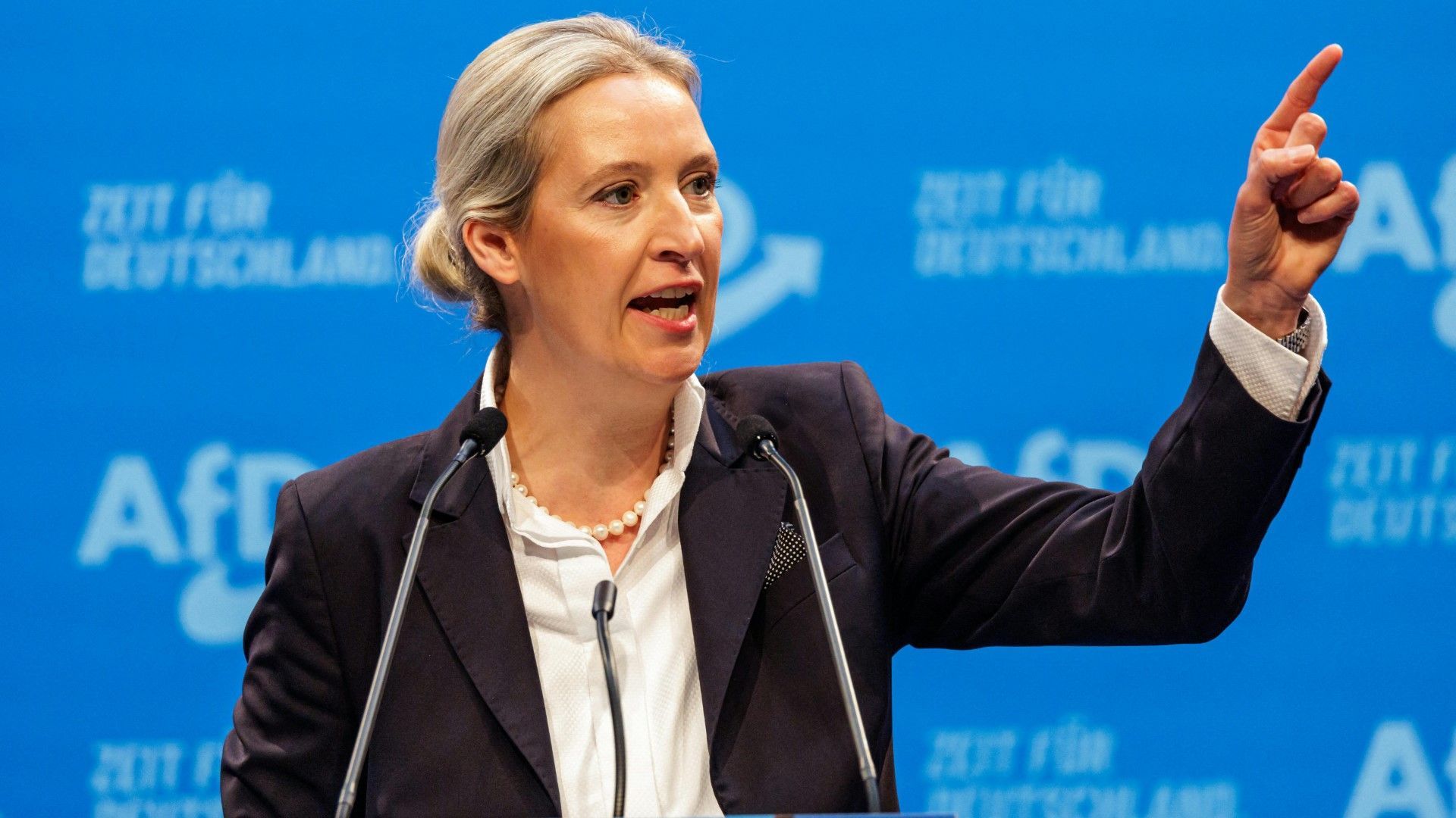 Weidel bei AfD-Parteitag: "Werden alle Windräder niederreißen"