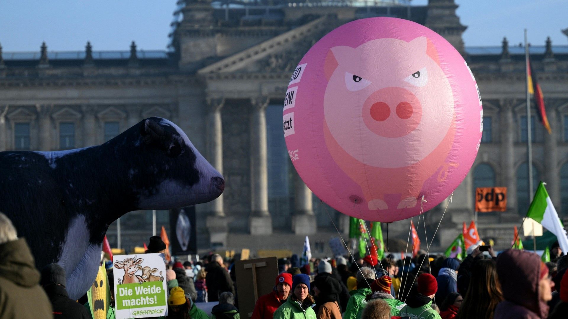 Tausende bei "Wir haben es satt"-Demo in Berlin