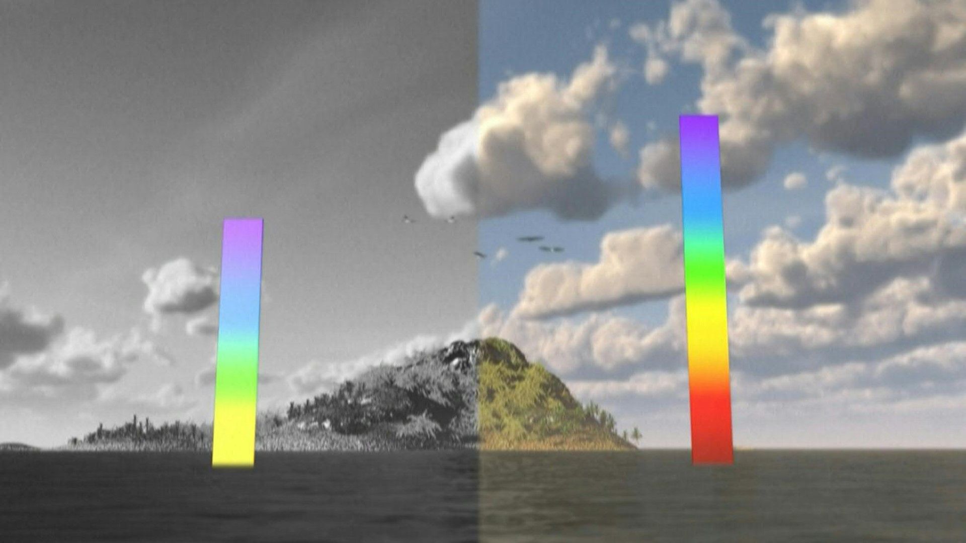 Videografik: Die Versauerung der Meere