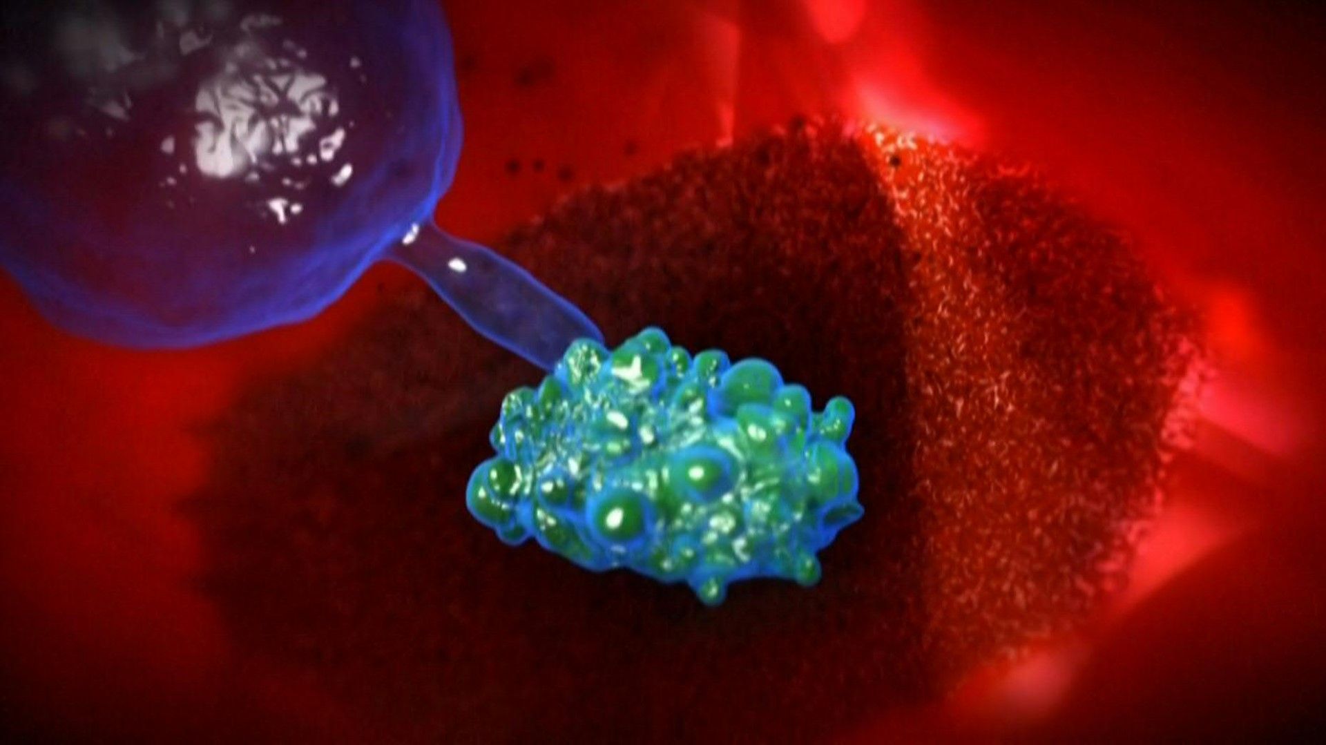 Videografik: So wirken Impfungen