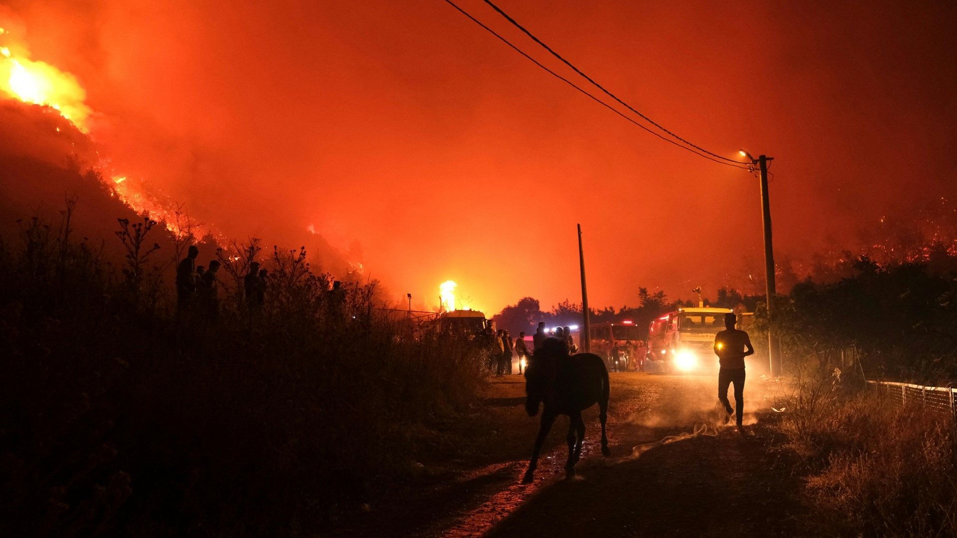 Hitzerekord in der Türkei – Waldbrände lodern weiter
