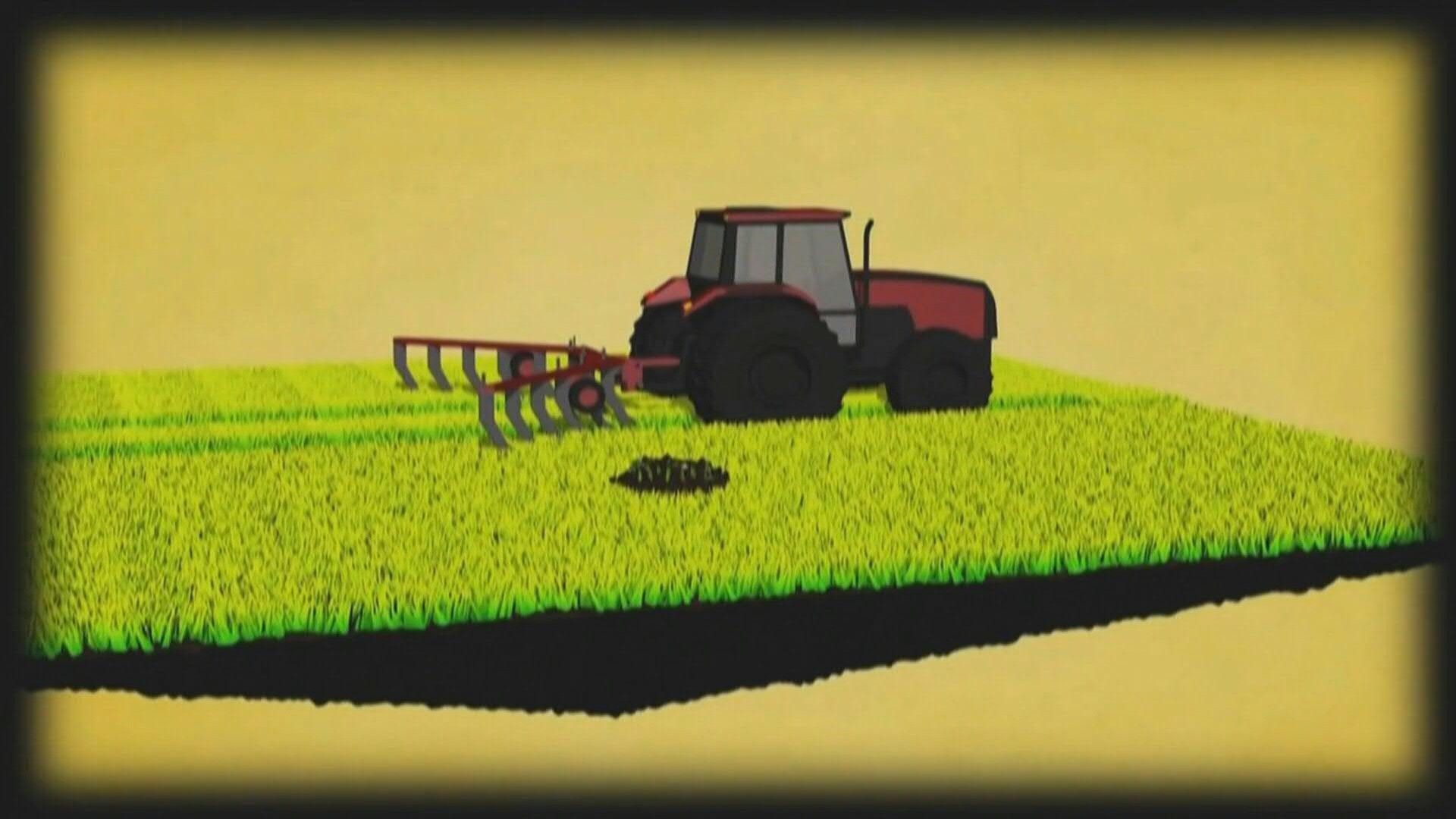 Videografik: Pestizide – giftig und umstritten