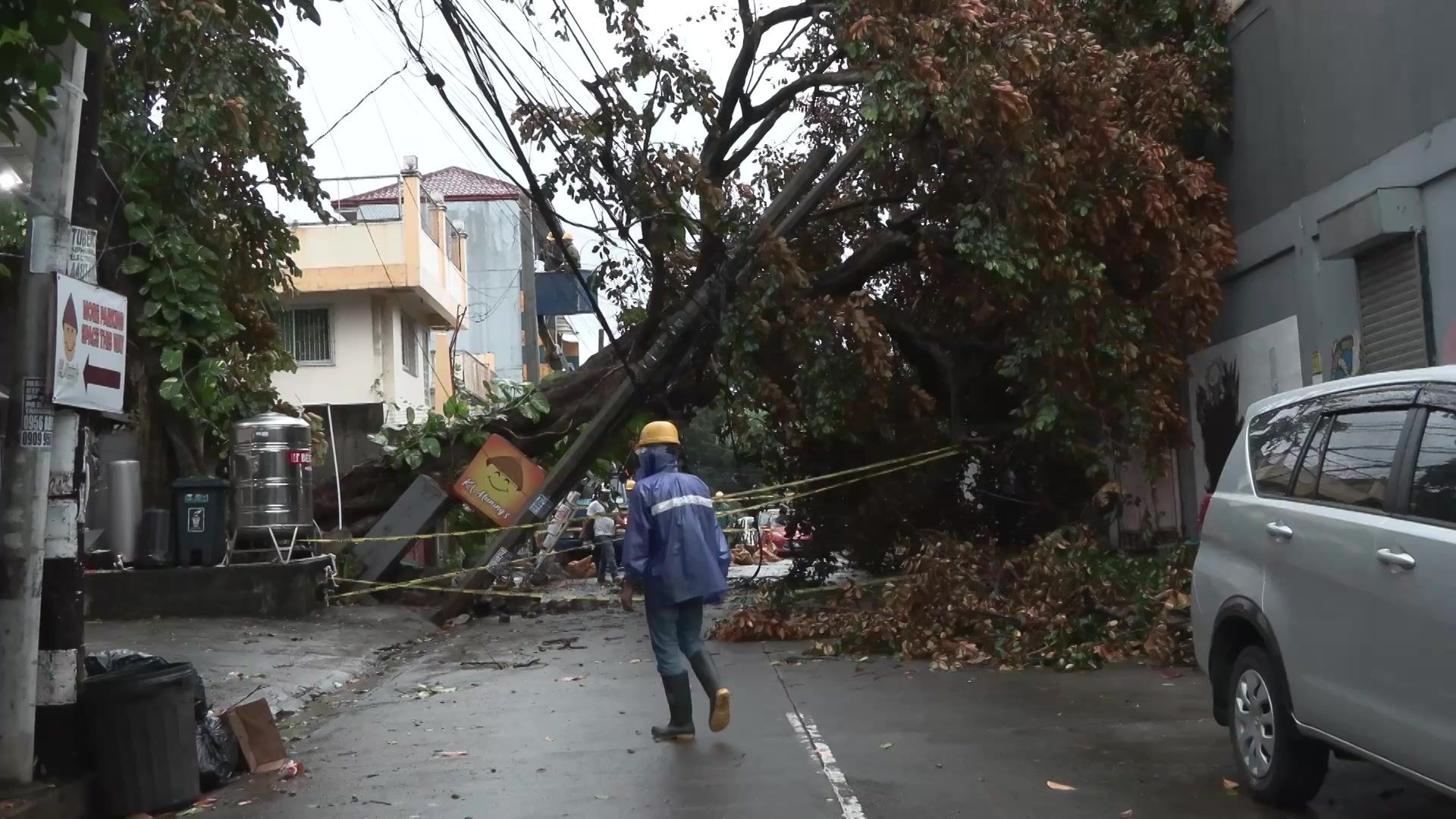 Video: Trees uprooted in Manila after Super Typhoon hits Philippines