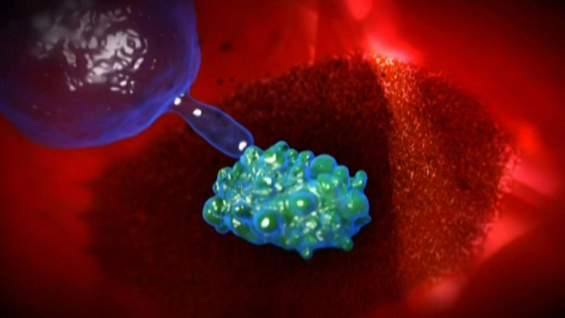 Videografik: So wirken Impfungen