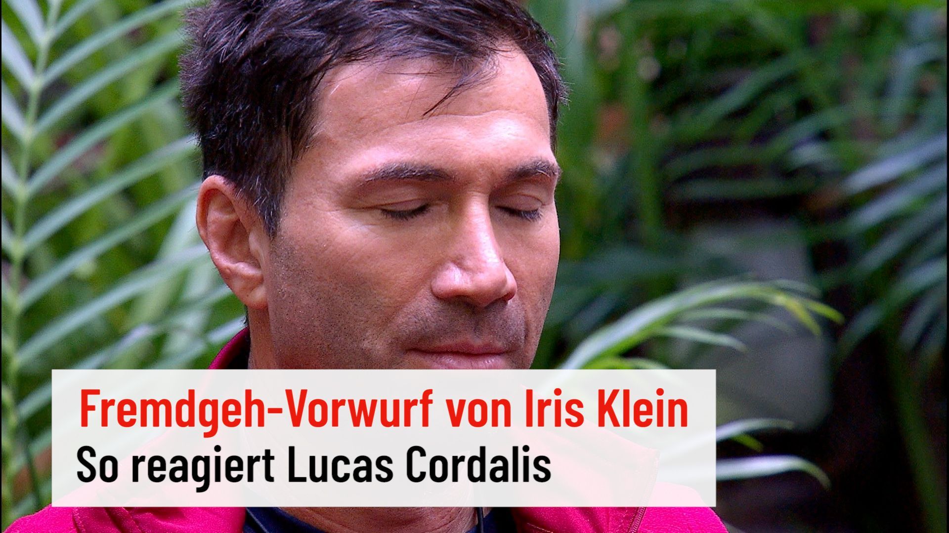 Lucas Cordalis reacts to the cheating rumors of Iris Klein