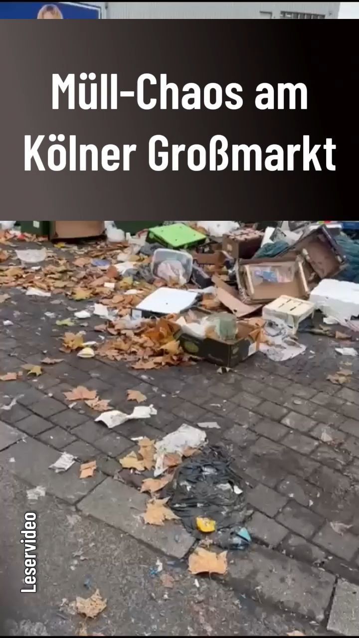 Video: Müll-Problem am Kölner Großmarkt