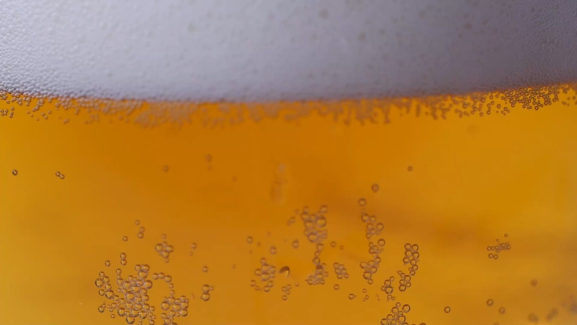 The Best Wheat in Franconia: The Great Reader Ranking