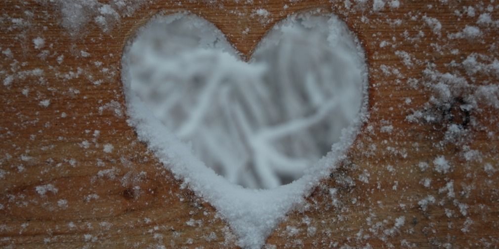 Osthessen verzaubert: Hundespaziergang im winterlichen Wald