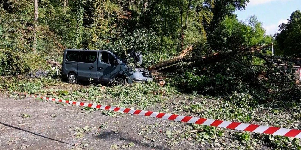 Video: Osthessen nach dem Sturm: Die Aufräumarbeiten beginnen