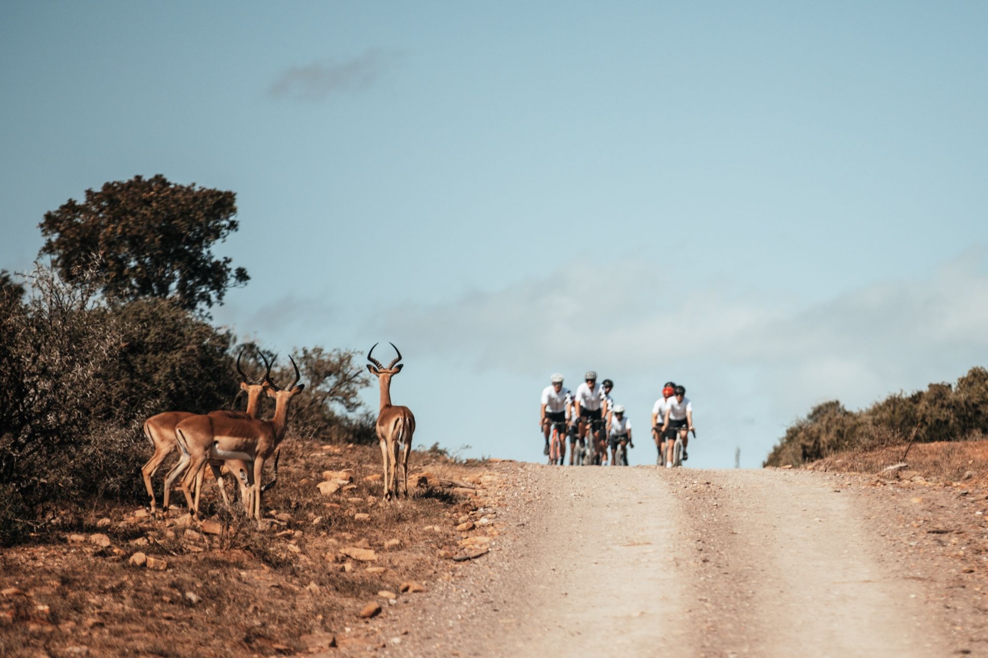 Brand new 7-day gravel bike race - Nedbank Gravel Burn 2025 (RSA)