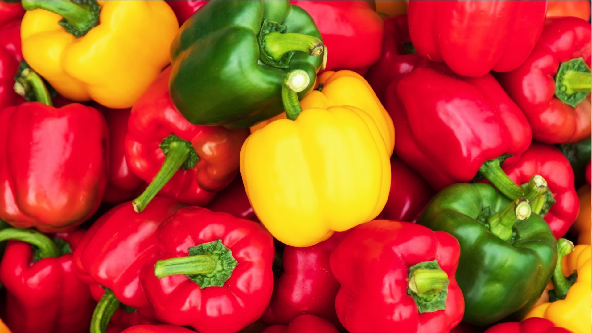 Rot, gelb oder grün: Welche Paprika ist am gesündesten?