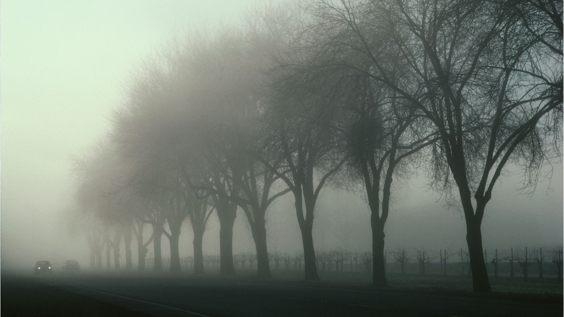 Nebel und kalte Nächte am Wochenende - im Bergland Sonne