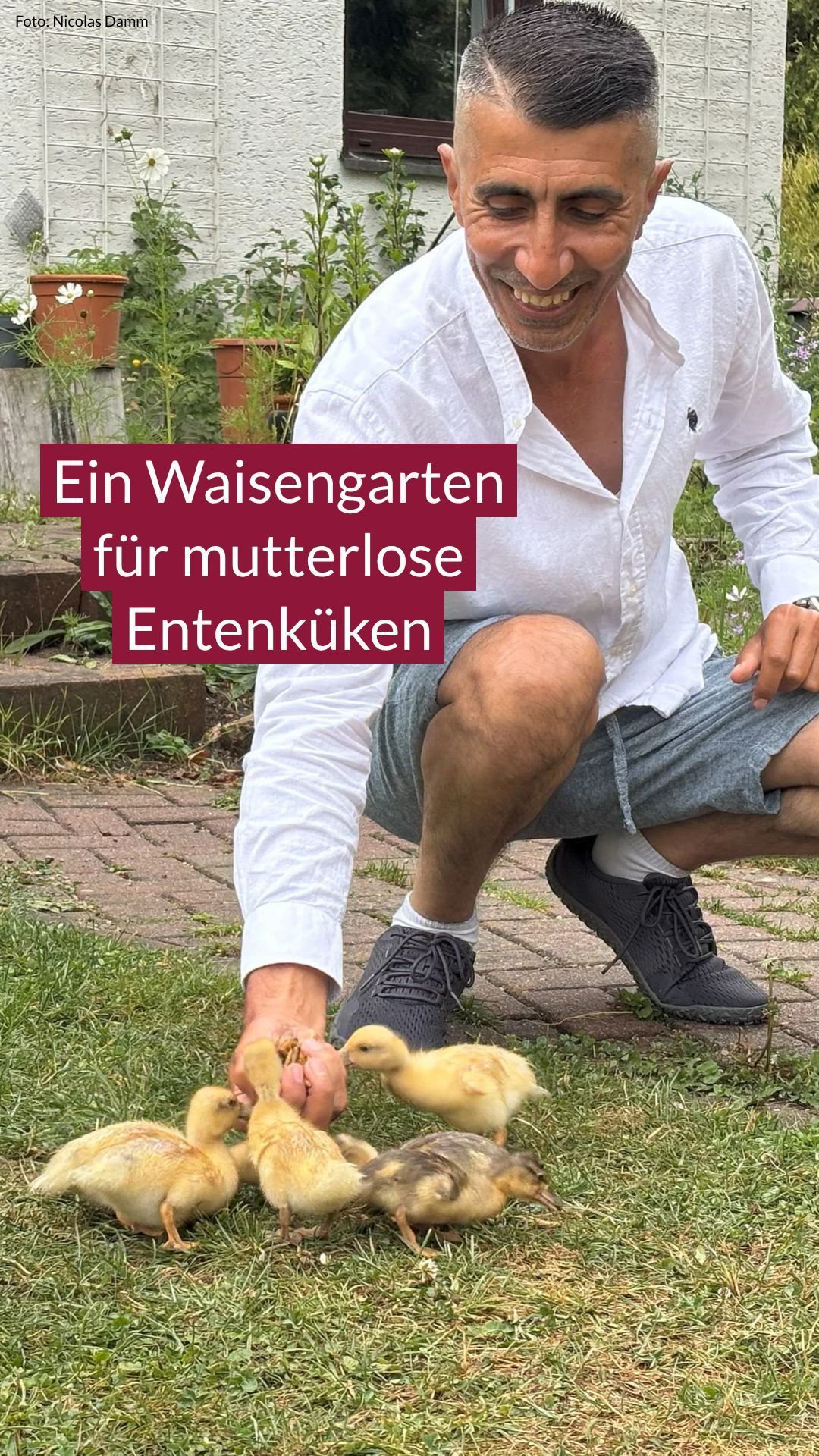 Video: Ein Waisengarten für mutterlose Entenküken