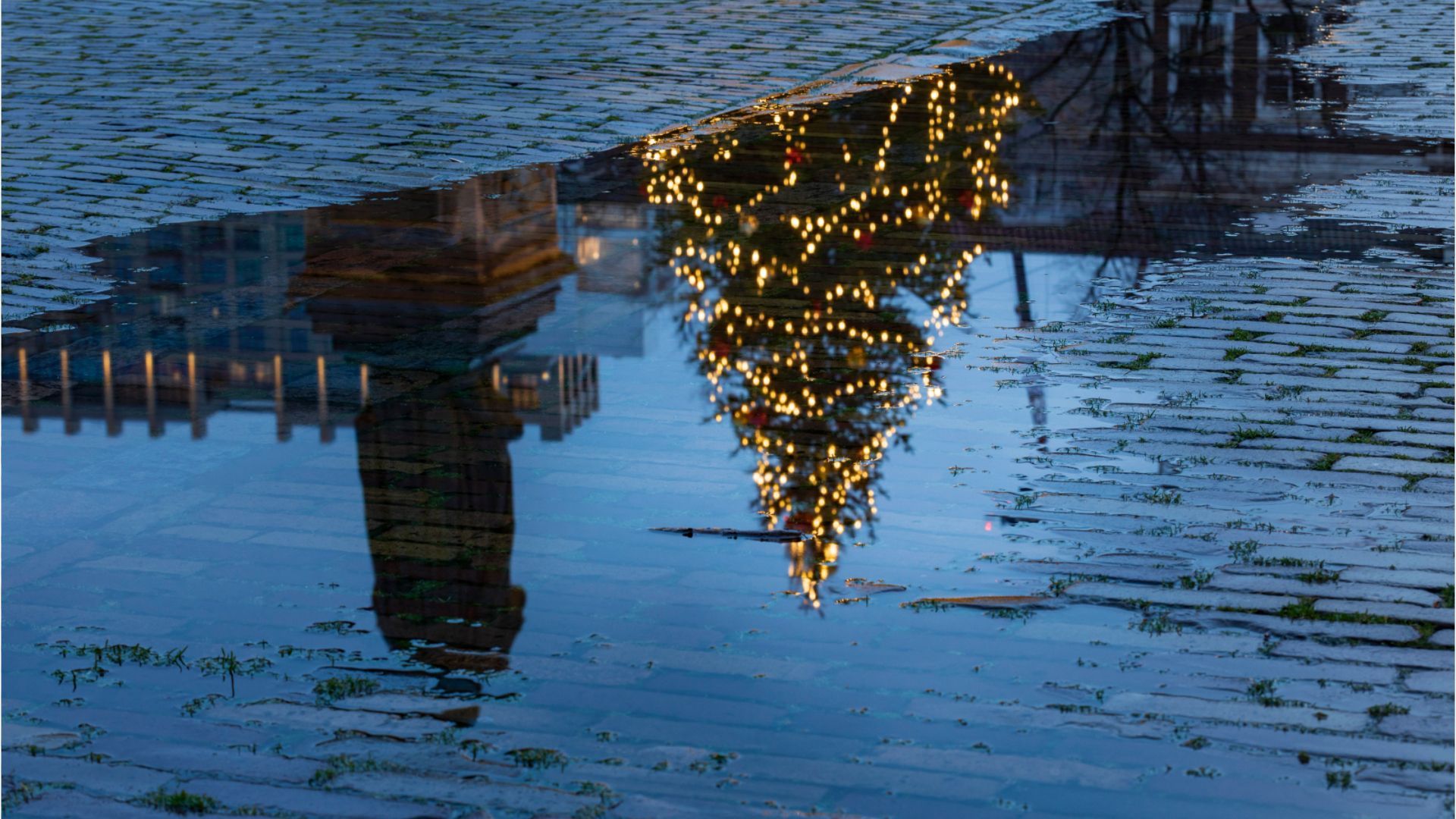 Video: Gibt es weiße Weihnachten in Bayern?