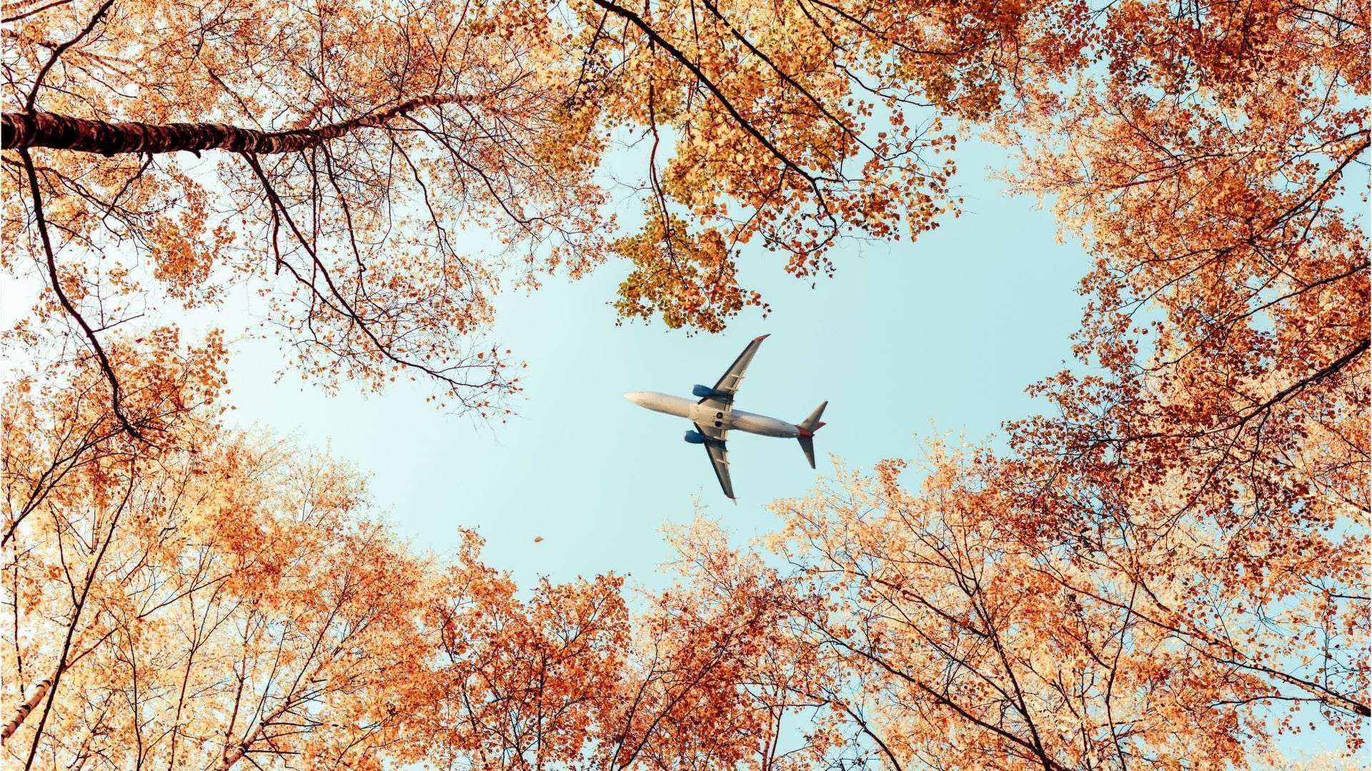 Video: Überweisungen, Einreise, Zeit – was sich im Oktober ändert