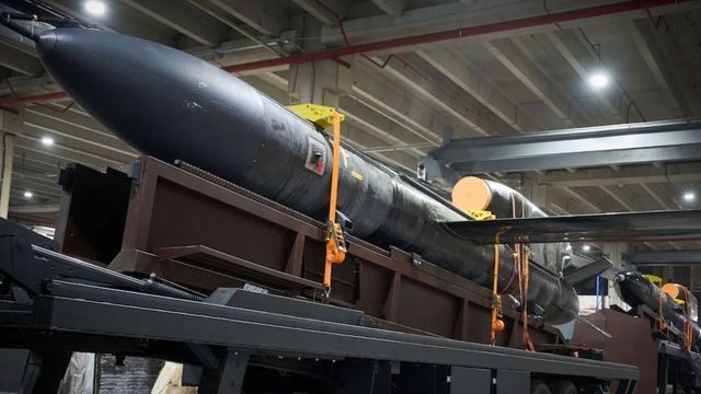 Tschechen sammeln Geld für „Geschenk für Putin“ – Ukraine bekommt zwei „Flamingos“