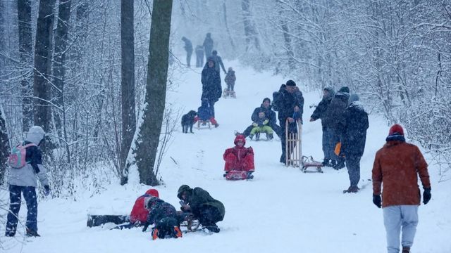 Schlitten-Unfall vor Gericht: Mutter fordert 10.025 Euro und kassiert Richter-Watschn