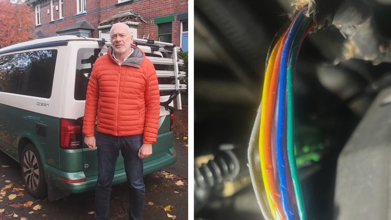 Ratten knabbern Kabel von VW an – Besitzer sieht Problem im pflanzenbasierten Material