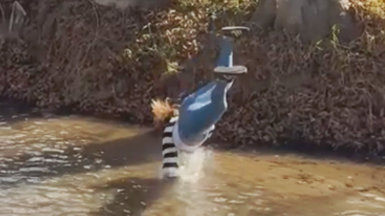 Per Seilrutsche über Bach – Fahrt findet abruptes Ende