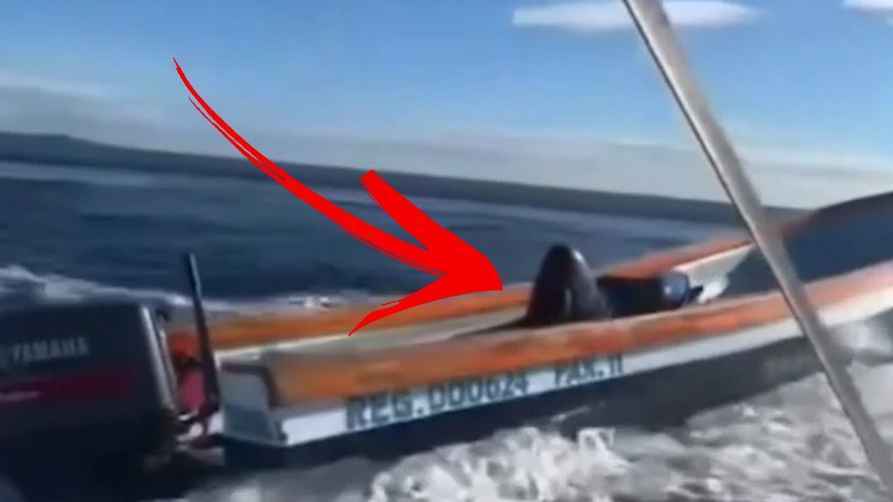 Boot mit Vollgas unterwegs: Fischer nickt am Steuer ein