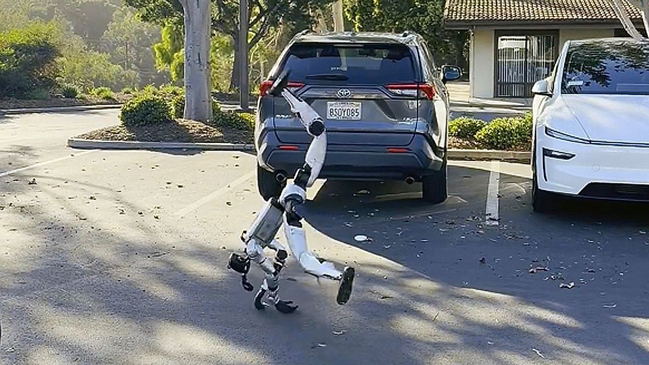 Video: Roboter schlägt perfektes Rad – dann wird es peinlich