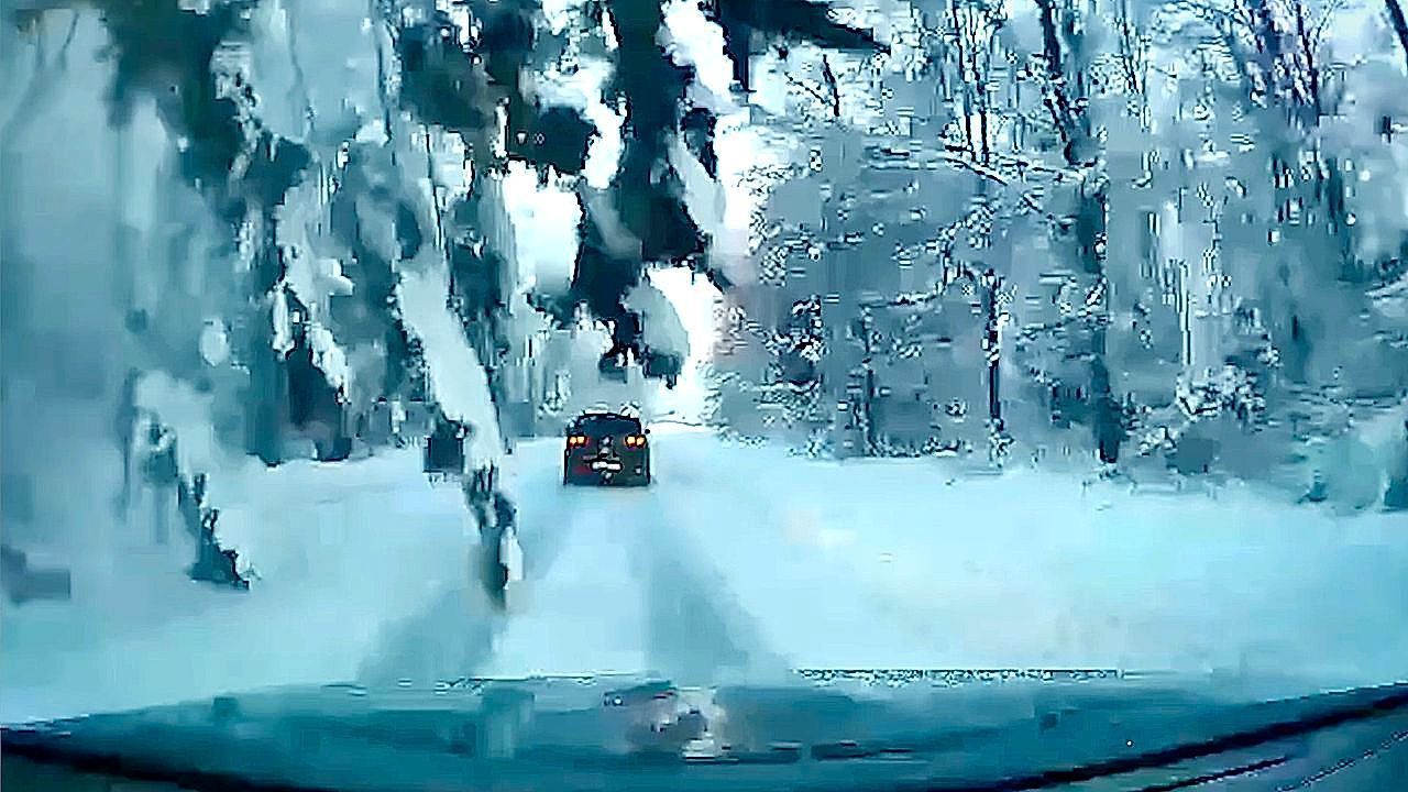 This is how a car was completely crushed by a tree on a winter road