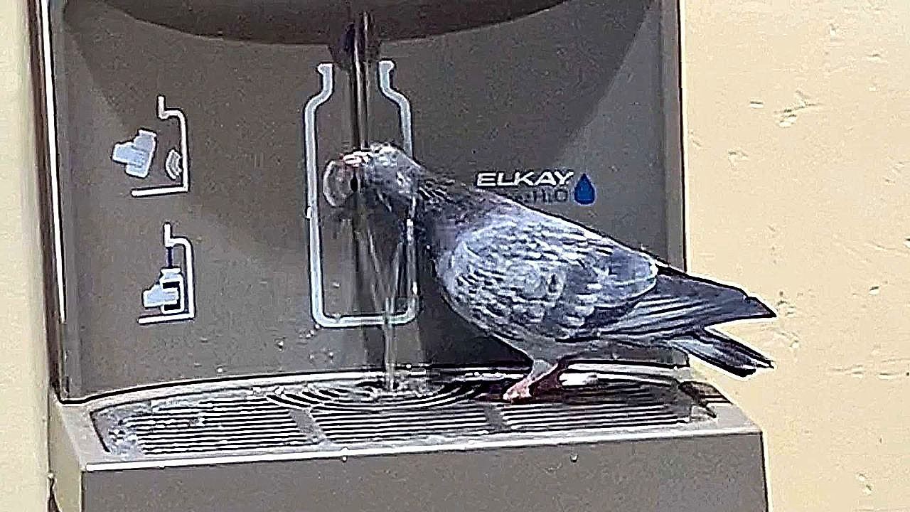 A-refresh-break-no-one-expected-at-Union-Station