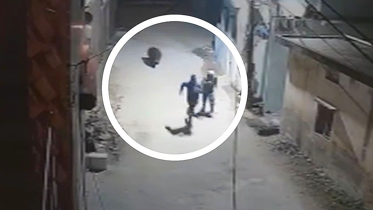 Video: Wild bear charges through street as people and cows run for their lives