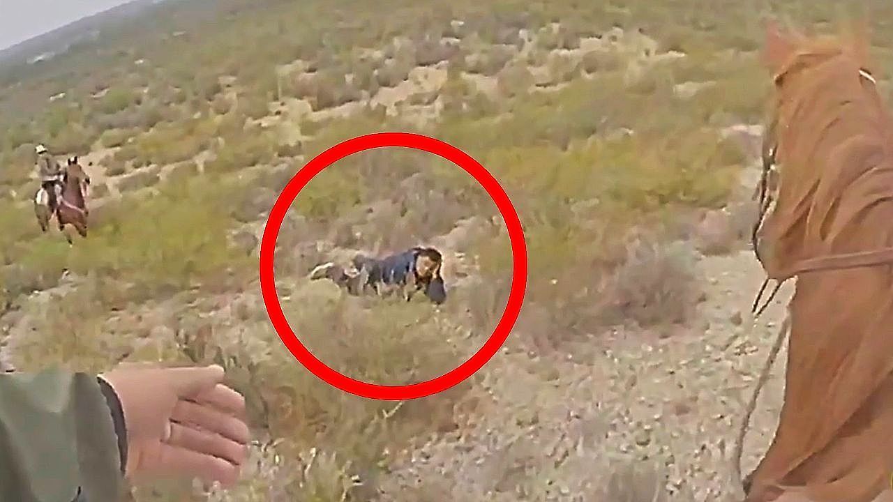 Wie-im-Cowboyfilm-Berittene-Polizisten-stellen-Straft-ter-auf-Ranch