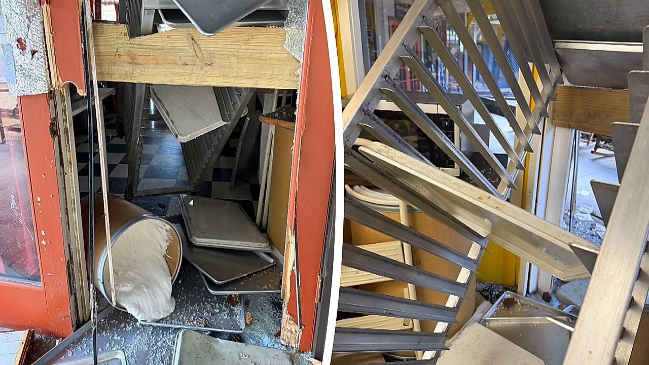 Video: Heißhunger auf Süßes: Bär plündert Laden – bereits zum vierten Mal