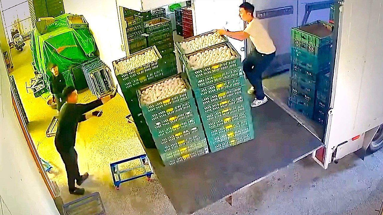 Video: Now those are cat-like reflexes! This worker narrowly saves dozens of eggs in a curious accident