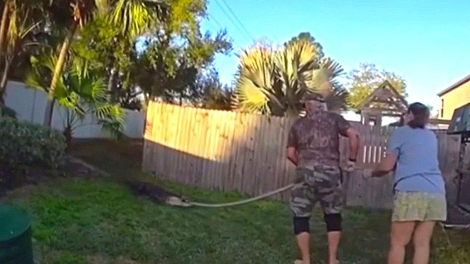 Fast drei Meter lang: Alligator an Schulbus-Haltestelle in Florida gefangen