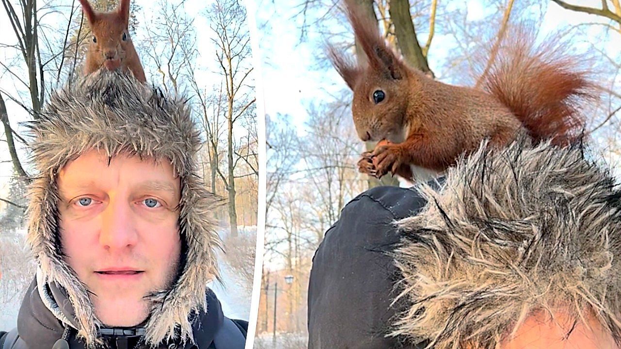 Video: Territorial squirrel barks from man's head