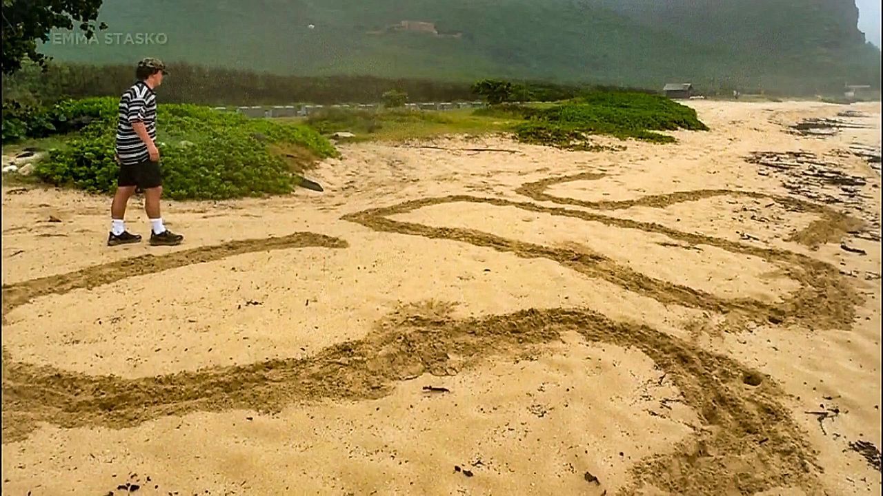 Video: SOS in den Sand geschrieben: Paar in Unwettern auf Hawaii gerettet