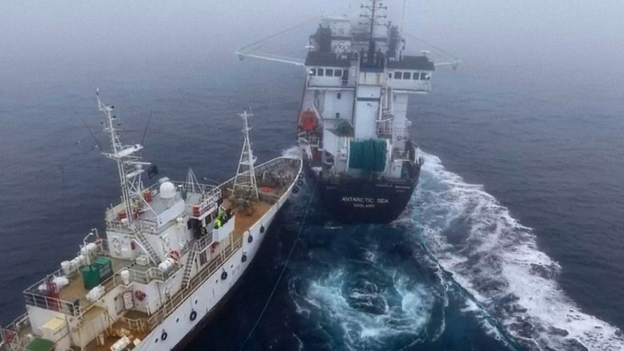 Video: Kollision auf hoher See: Aktivistenboot rammt Krillfang-Schiff