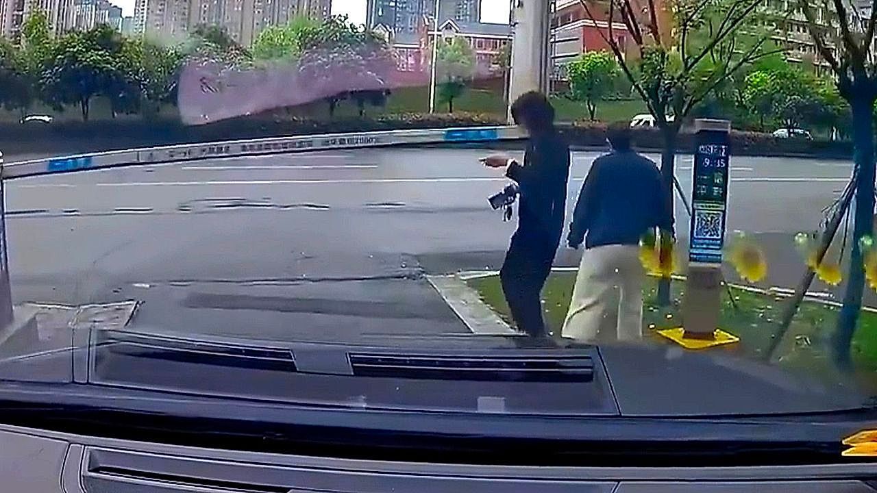 Video: Woman ignores warning signs before sudden barrier strike sparks dispute