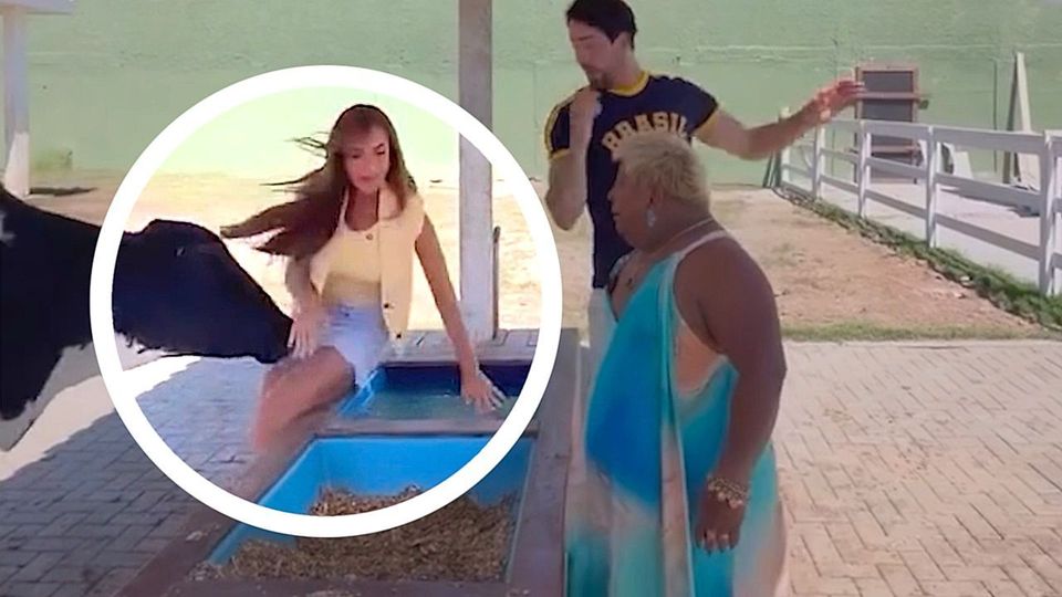 Kopfstoß: Kuh befördert brasilianische TV-Moderatorin in Viehtränke