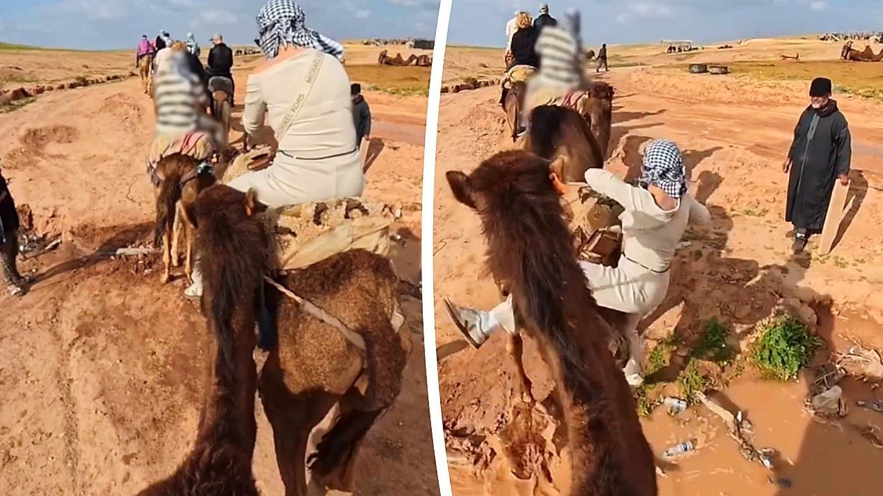 Video: Camel ride takes messy turn in a puddle in the middle of the desert
