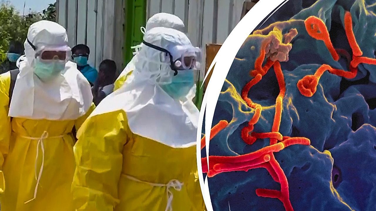 Video: Bisher nur Spitze des Eisbergs: Ebola-Ausbruch im Kongo massiver als bekannt