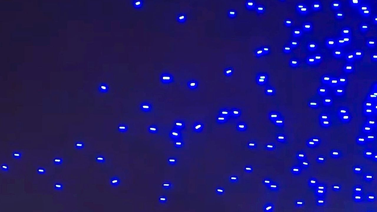 Video: Lichtshow-Chaos: 89 Drohnen stürzen beim Vivid Festival in Sydneys Hafen
