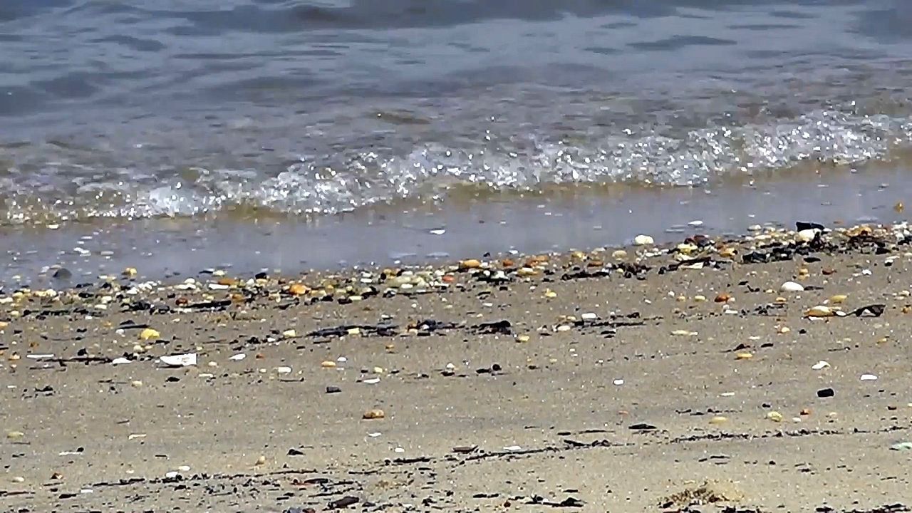 Verschmutztes-Wasser-Drei-Str-nde-in-New-Jersey-wegen-F-kalbakterien-gesperrt
