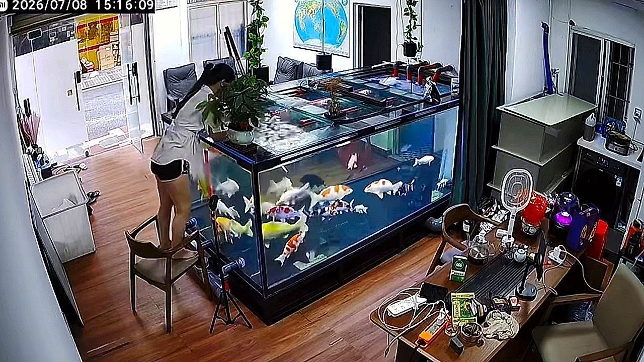 F-rs-Handy-baden-gegangen-Frau-klettert-in-Sekundenschnelle-in-Aquarium