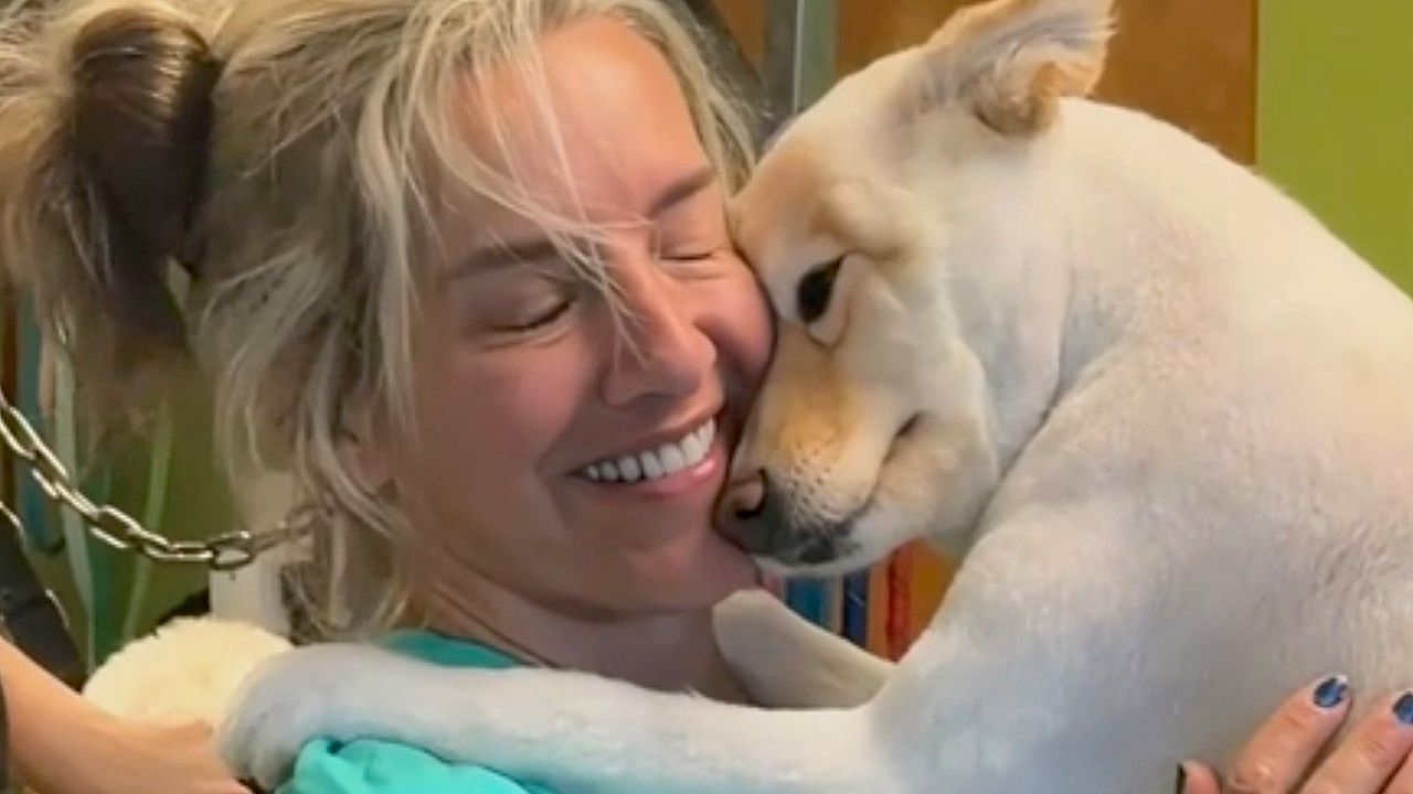 Video: Grooming session turns into cuddle time in Springfield