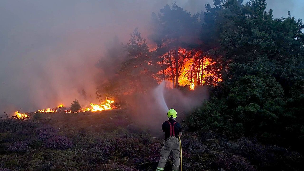 Video: Englische Grafschaft in Flammen: Hunderte Menschen fliehen vor Großbrand