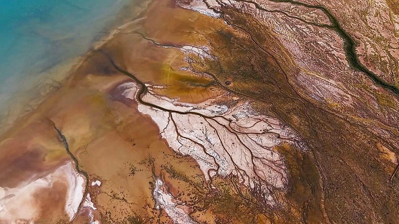 Video: „Baum des Lebens“: Drohne filmt riesiges Muster auf türkischem Salzsee
