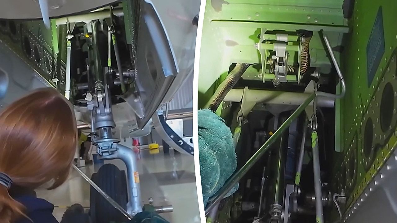 Video: Blinder Passagier: Schlangenfängerin holt Giftschlange aus Fahrwerk von Privatjet